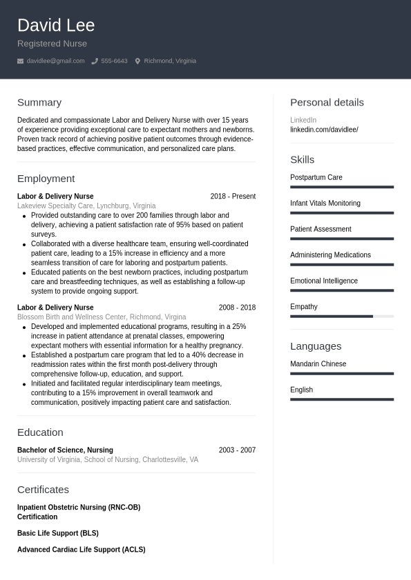 Nurse Resume Example - CVwizard