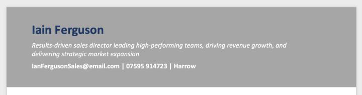 CV headline of a sales director